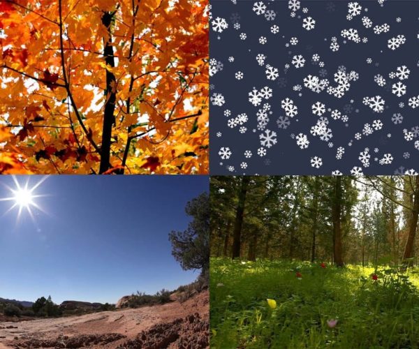 4 Different Seasons