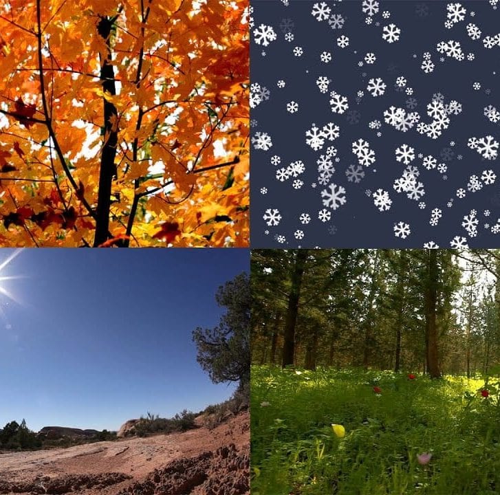 4 Different Seasons