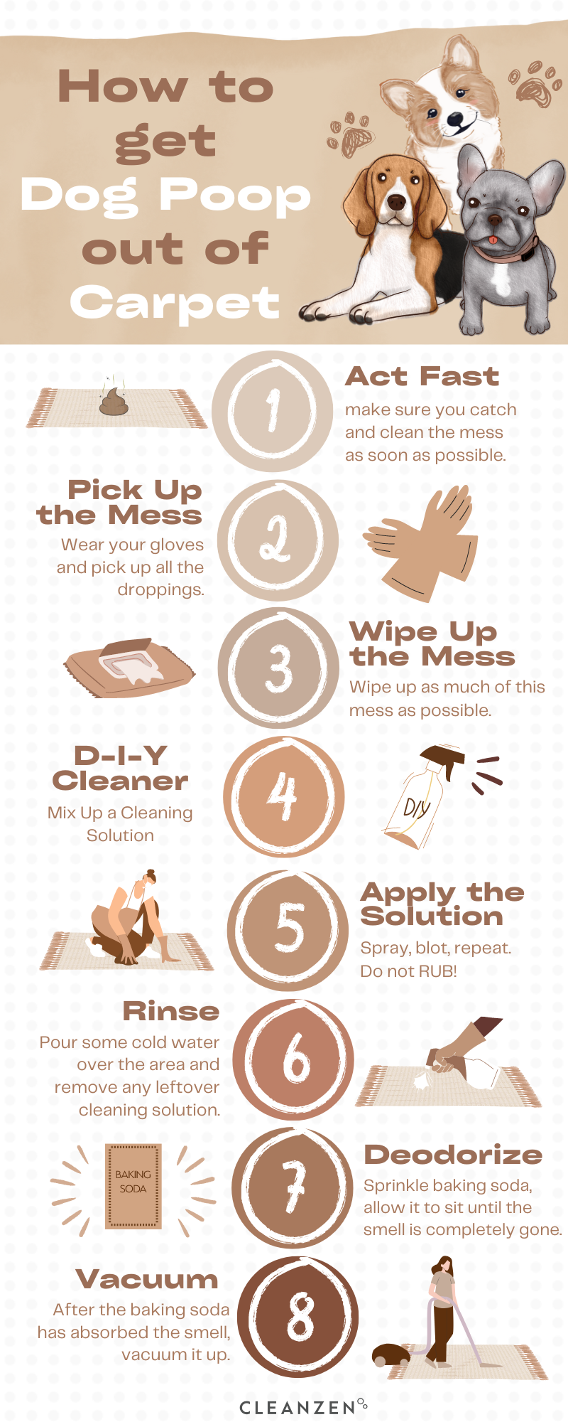 How to Clean Dog Poop Out of Carpet Cleanzen Infographic