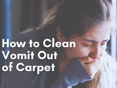 How to Get Vomit Out of Carpet Cleanzen Featured Image