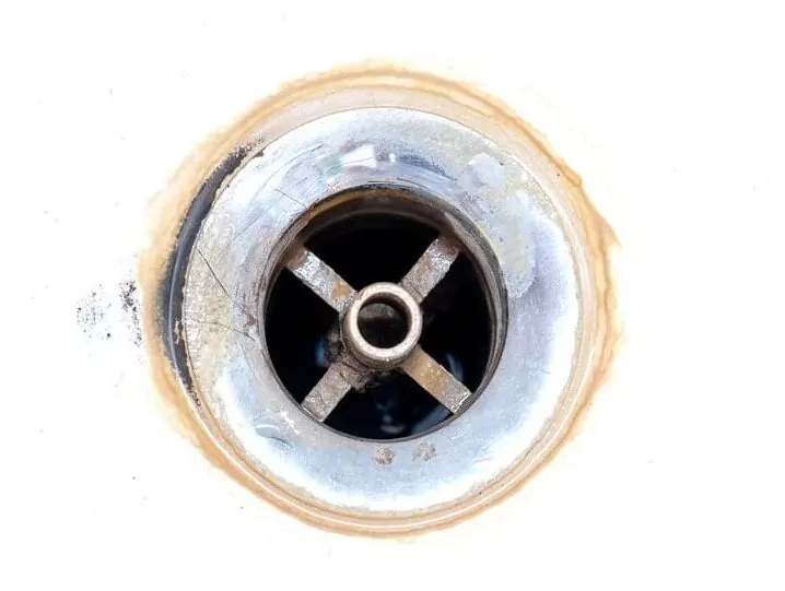 sink drain with a pink mold