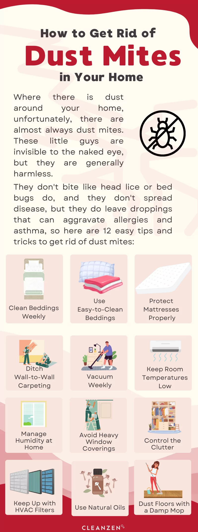 How to Get Rid of Dust Mites in Your Home Cleanzen Infographic