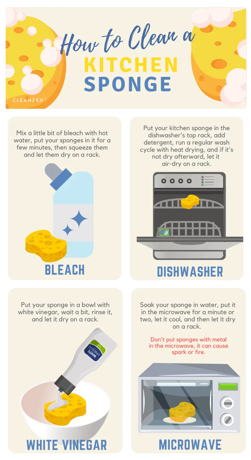 How to Clean a Kitchen Sponge Cleanzen Infographic