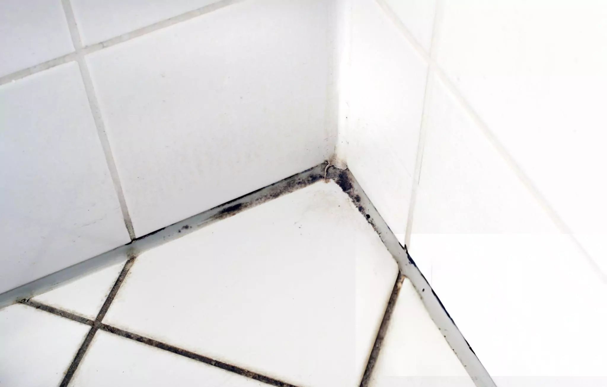 How to Clean Shower Ultimate Shower Cleaning Guide Cleanzen Image of Mold in Bathroom Tiles