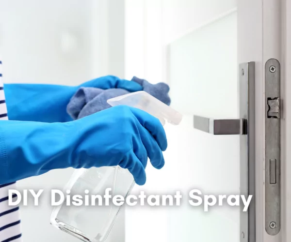 Diy Disinfectant Spray Cleanzen Featured Image