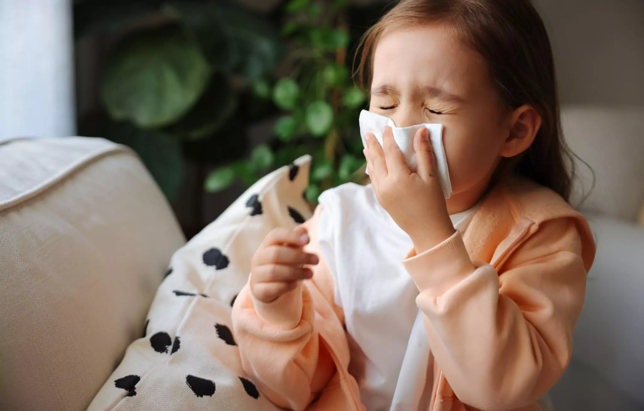 Simple Trick to Eliminate Dust in Your House Cleanzen Image of a Little Girl Sneezing