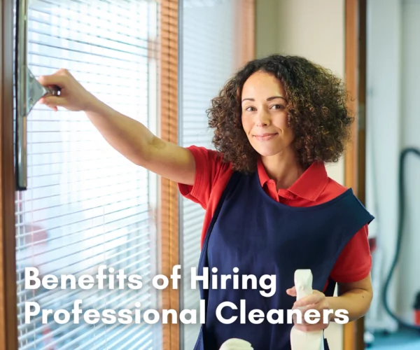 Benefits of Hiring Professional Cleaners Cleanzen Featured Image