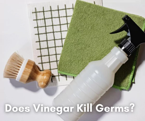 Does Vinegar Kill Germs Cleanzen Featured Image