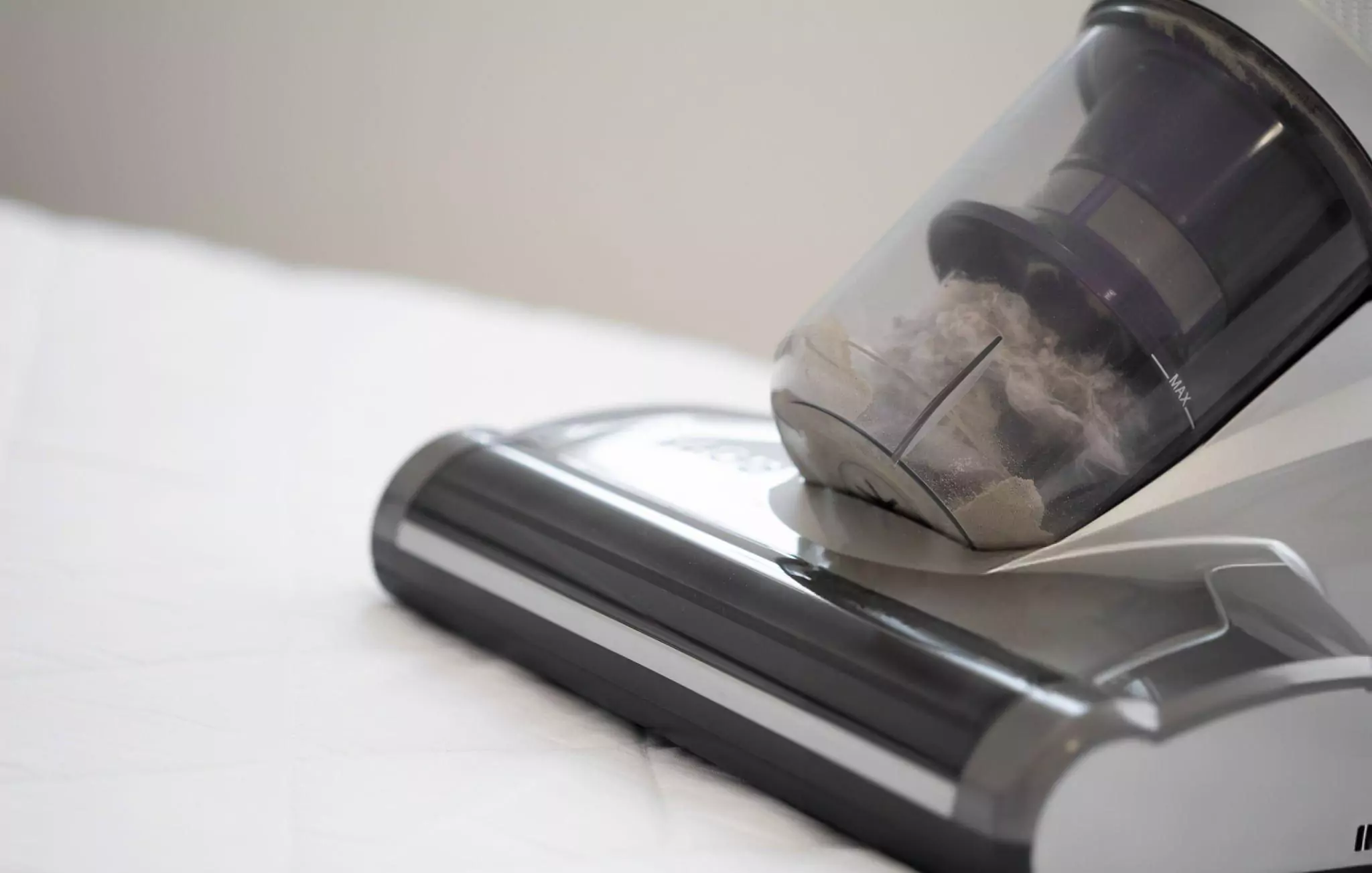 How to Get Rid of Stink Bugs Cleanzen Image of Dust Mite Vacuum Cleaner