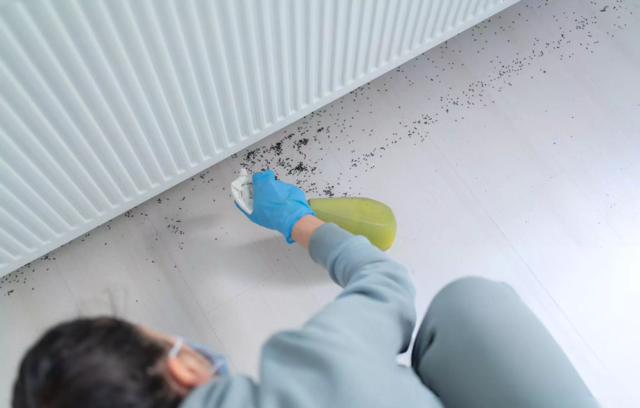 How to Get Rid of Stink Bugs Cleanzen Image of a Woman Spraying Bug Spray At Home