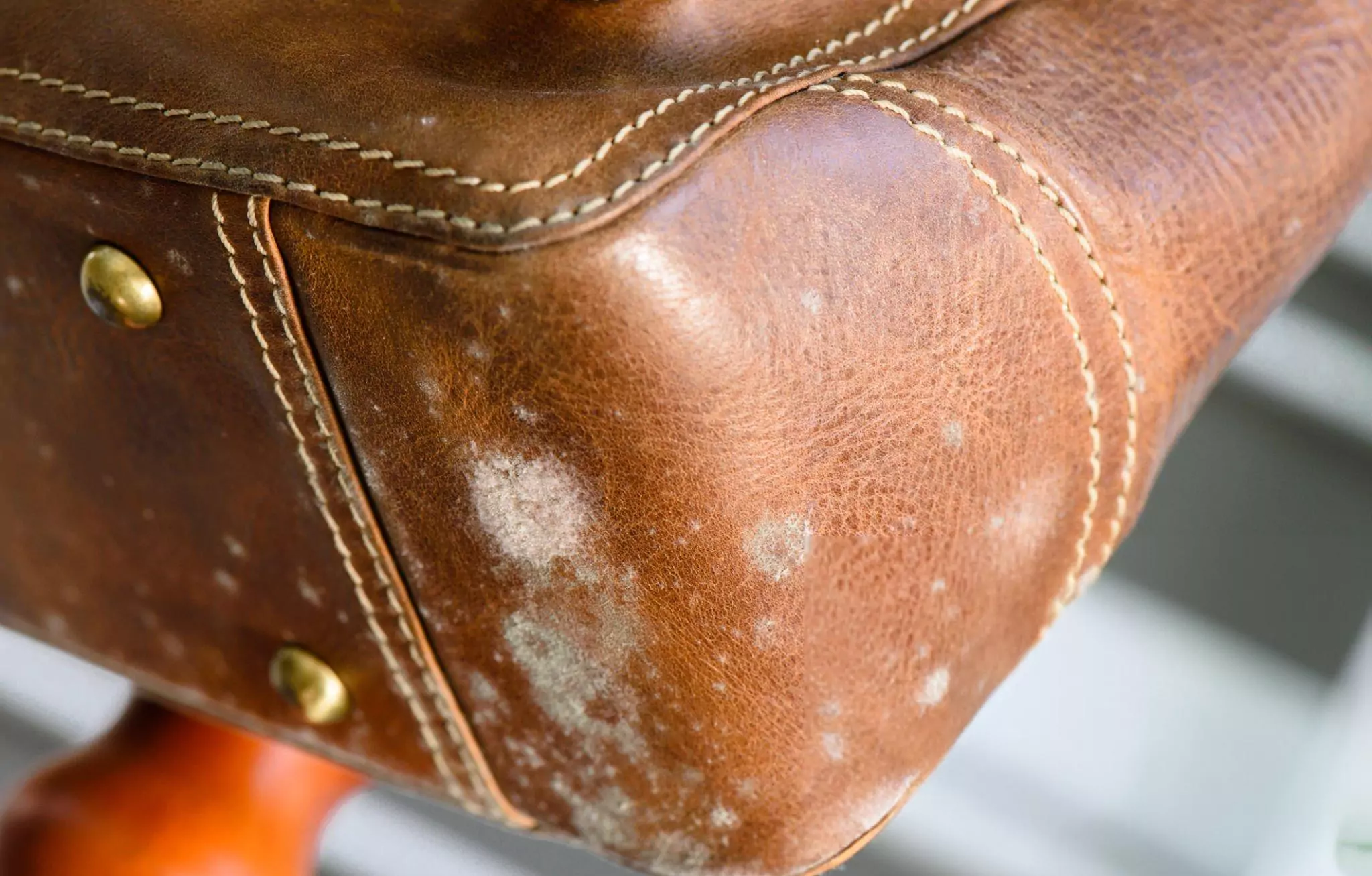 How to Clean Leather Purse Cleanzen Image of a Brown Mouldy Leather Bag