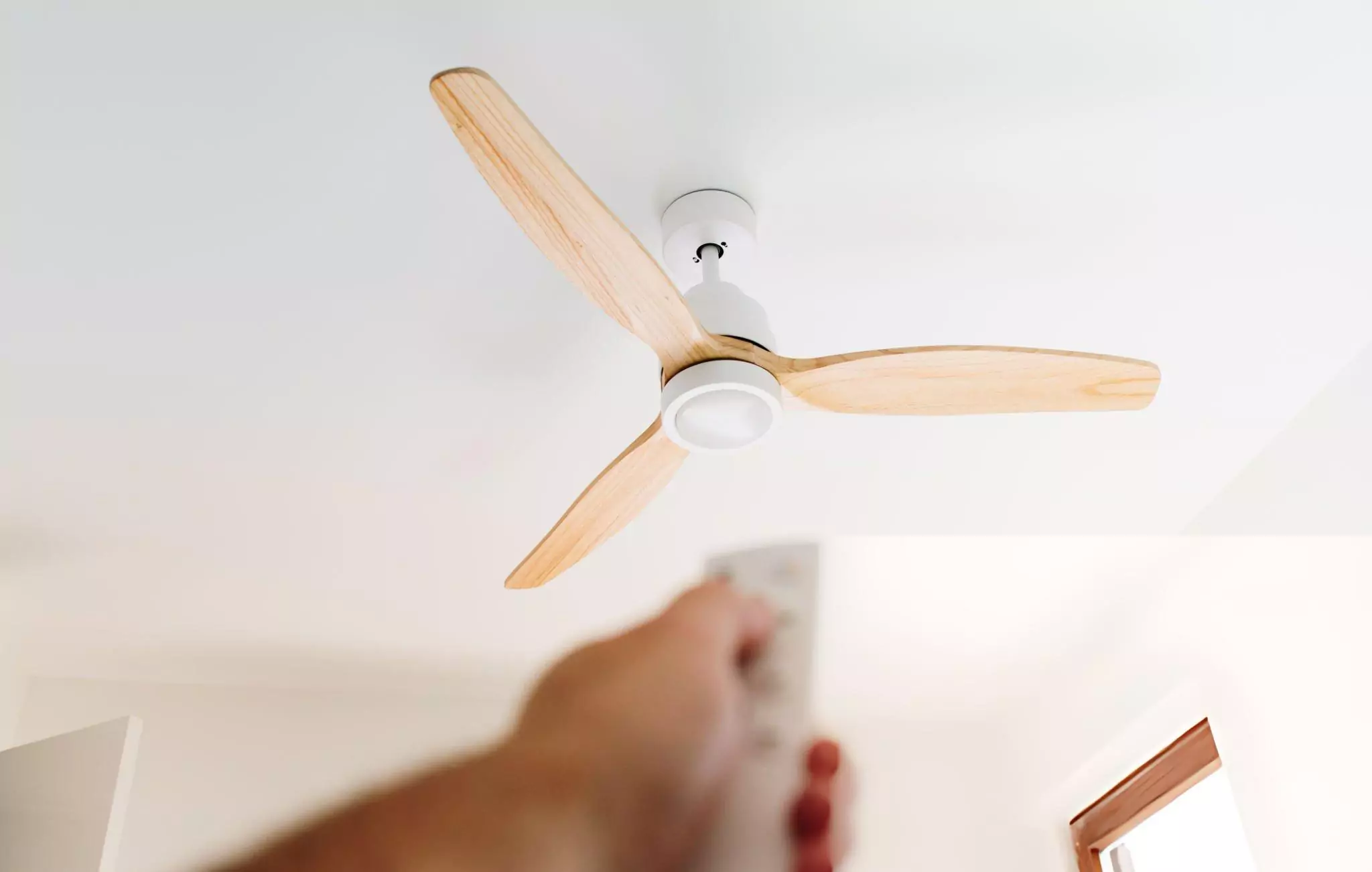 Most Overlooked Places to Clean in Your Home Cleanzen Image of Ceiling Fan