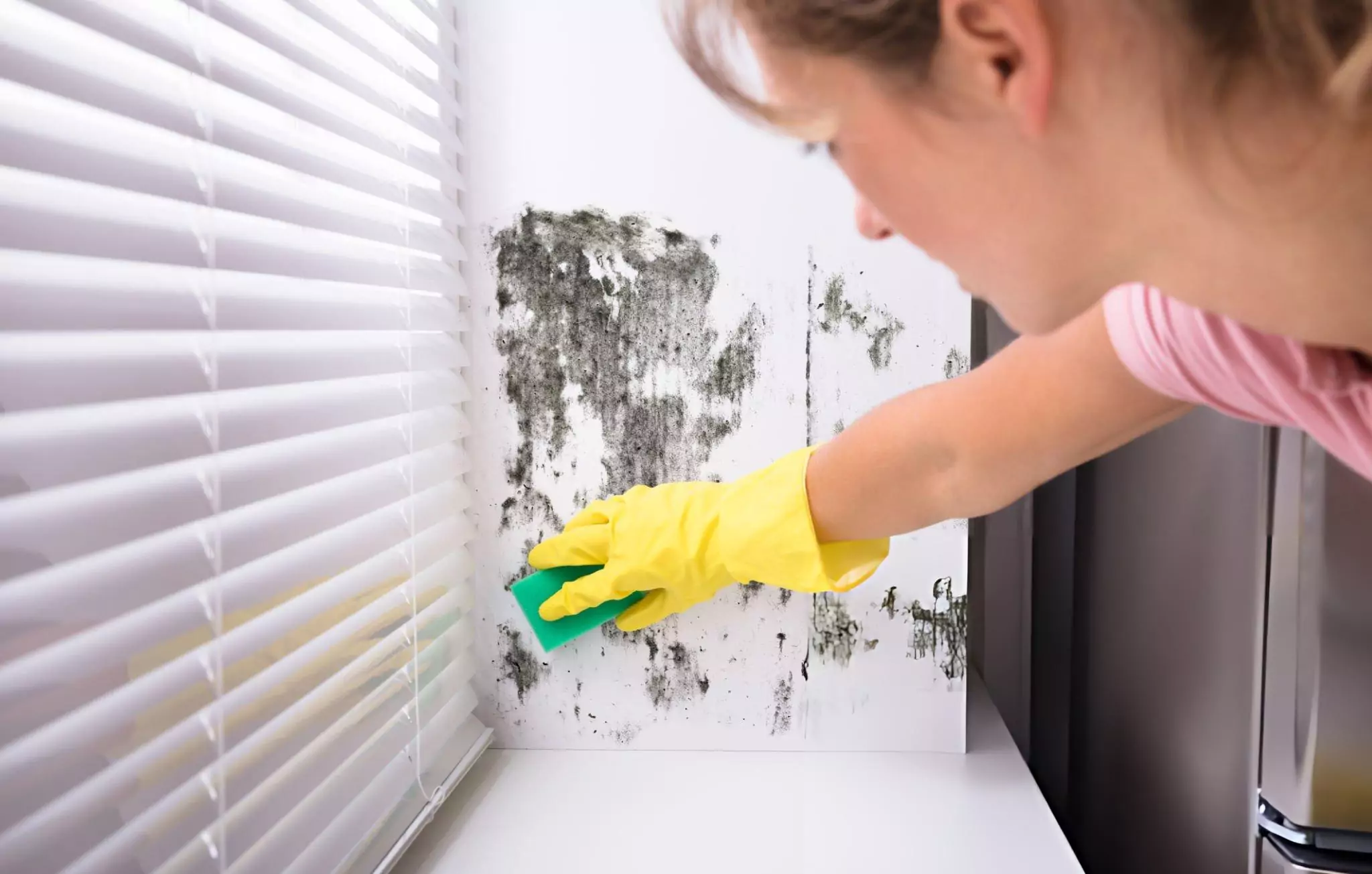 What Does Black Mold Look Like Cleanzen Image of Woman Cleaning Mold From Wall