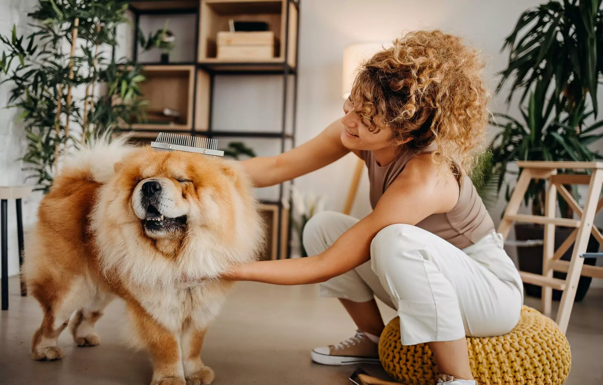 How to Keep Your Home Pet Hair Free Cleanzen Image of Woman Brushing Dog