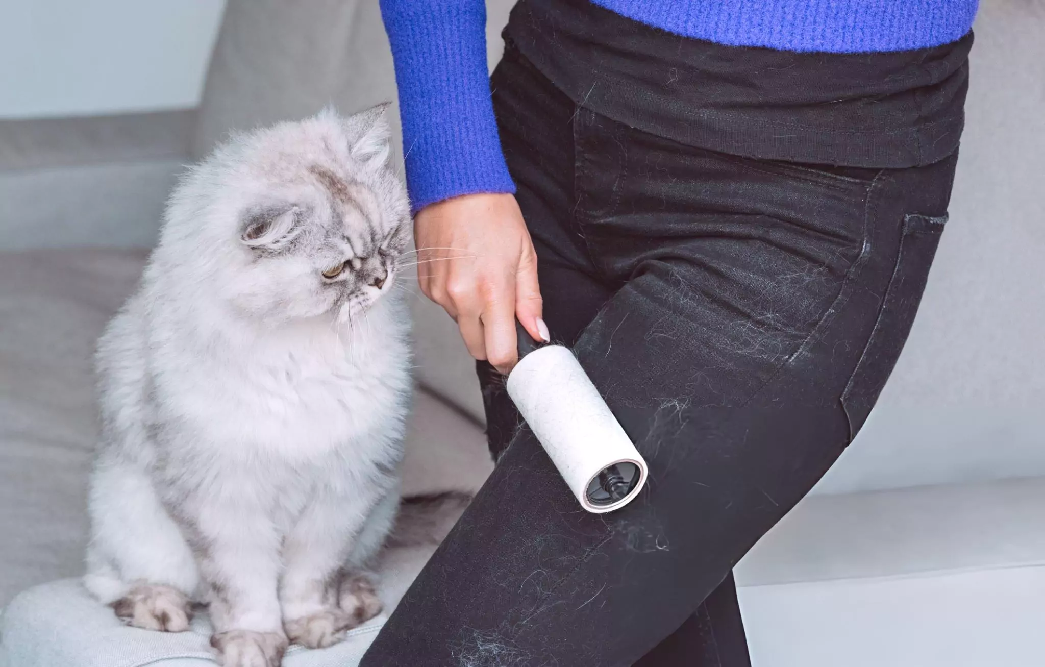 How to Keep Your Home Pet Hair Free Cleanzen Image of a Woman Cleaning Black Clothes with Lint Roller From Grey Cats Hair