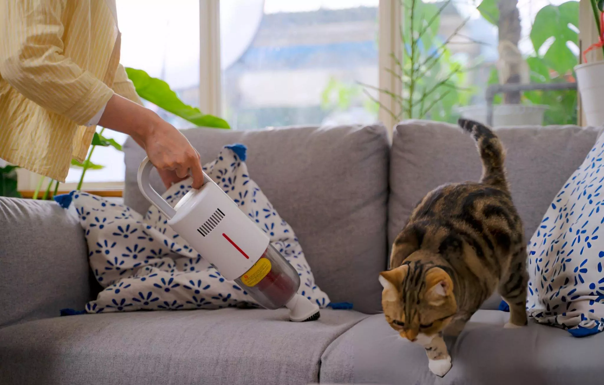 How to Keep Your Home Pet Hair Free Cleanzen Image of a Woman Vacuuming Pet Hair in the Sofa